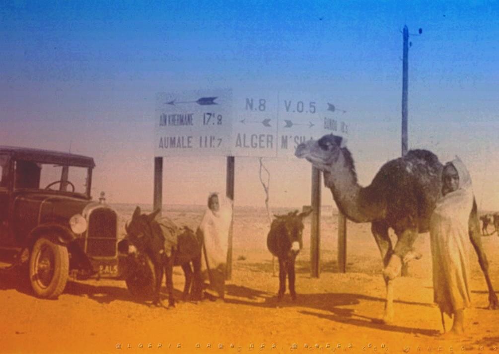 OASIS ET LE M ZAB 00013 SIGNALISATION AU SEUIL DU DESERT.jpg